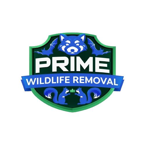 Wildlife Removal Paulding County